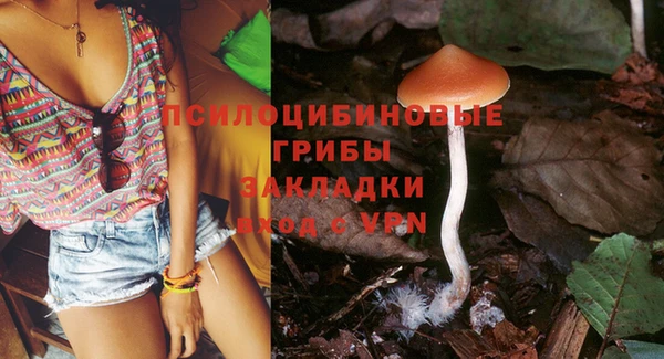 прущие грибы Алексеевка