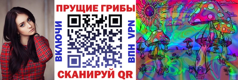 kraken tor дарнет шоп Уфа Псилоцибиновые грибы GOLDEN TEACHER
